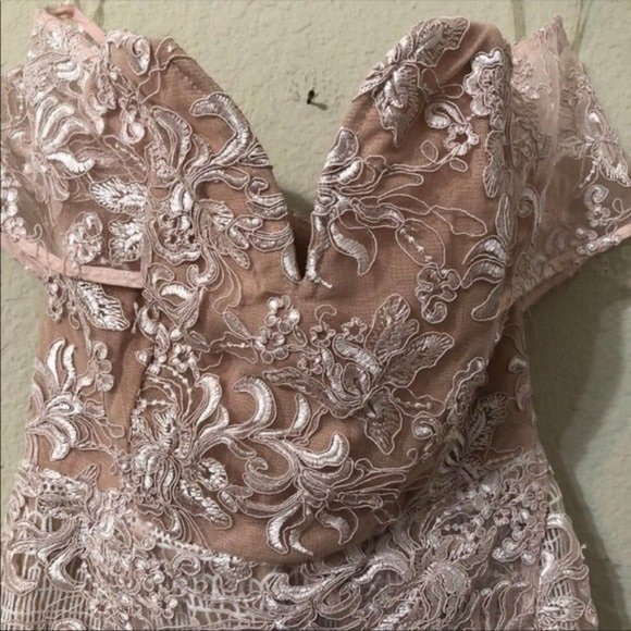 Elliatt Dress Blush Pink Floral Lace Mid - Picture 7 of 12